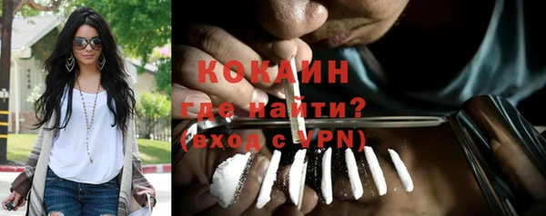 эйфоретик Няндома