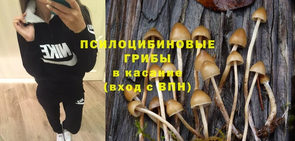 дурь Абдулино