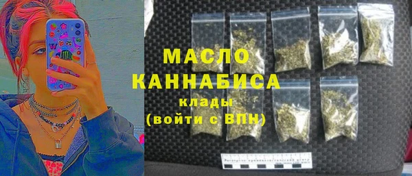 эйфоретик Няндома
