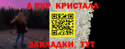 твердый Кингисепп